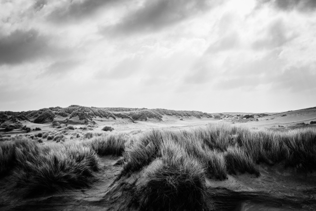 duin-strand-3016-site