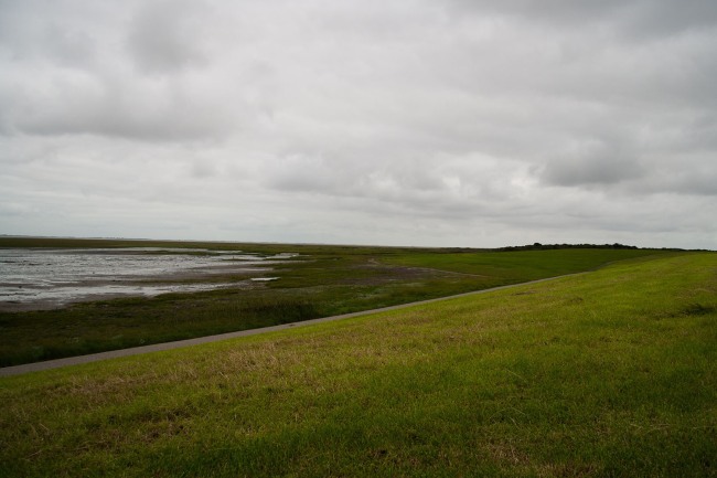 schier-gras-site