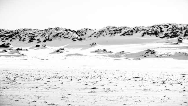 strand-1020599