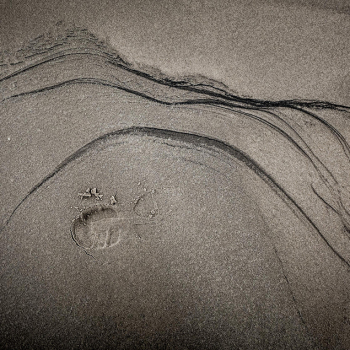 strand-tekening-1020684-c68