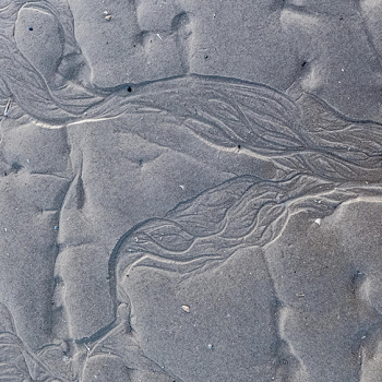 strand-tekening-1020707