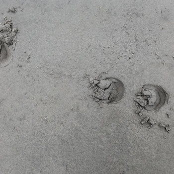 strand-tekening-1020744