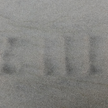 strand-tekening-1020749