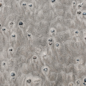 strand-tekening-1020807